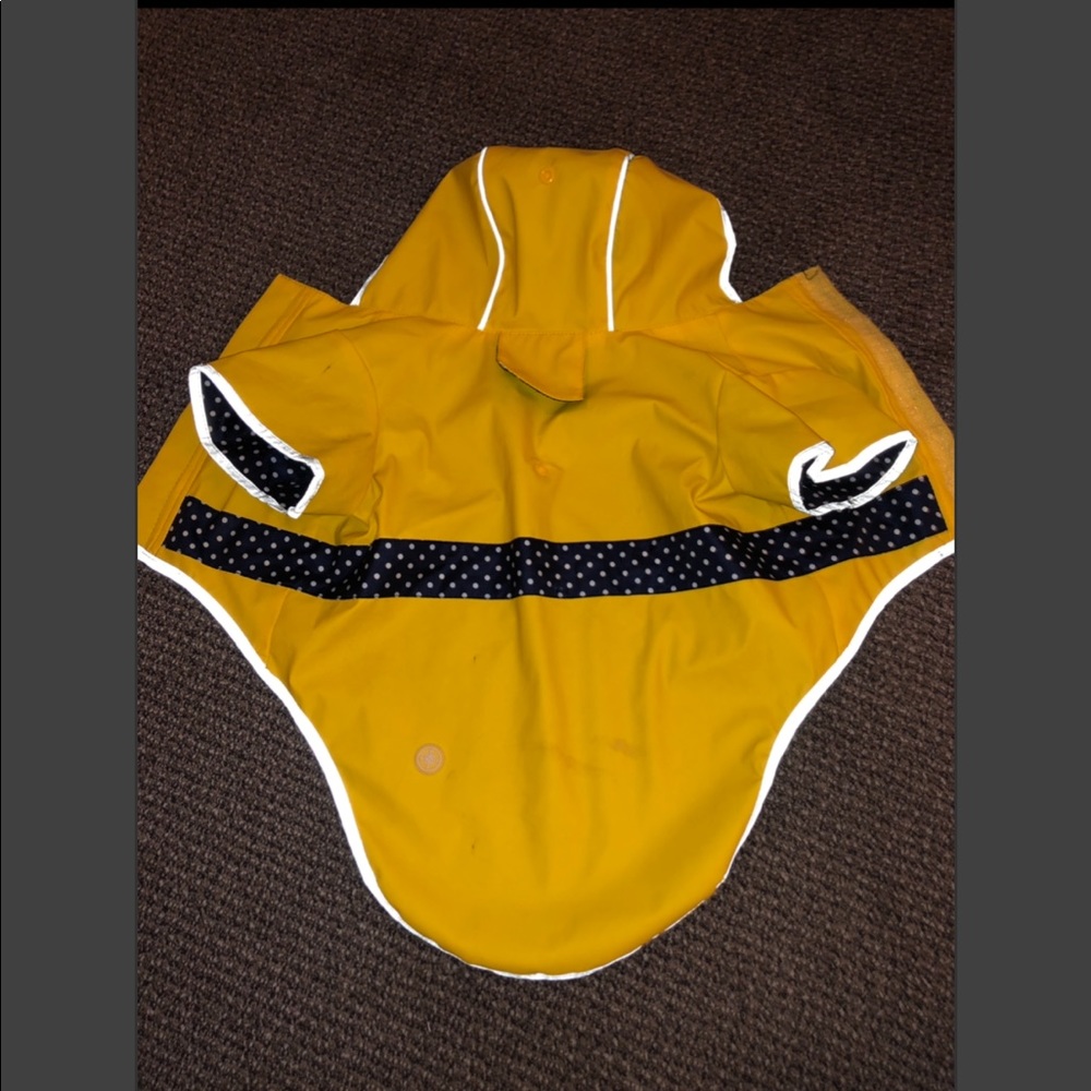 Dog clothes